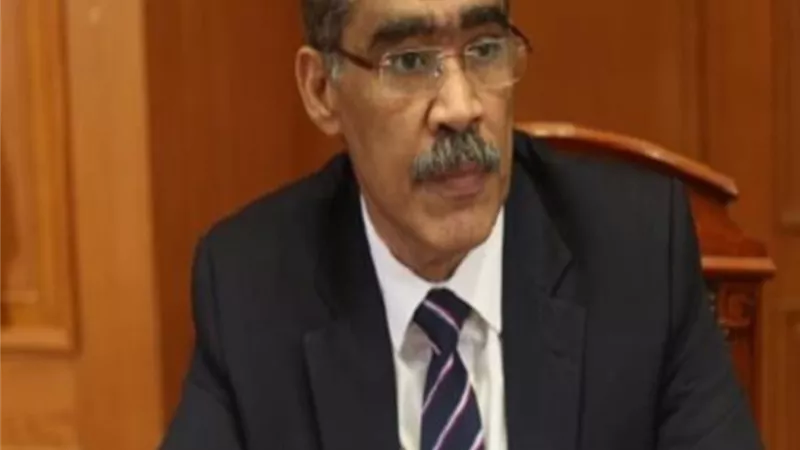 ضياء رشوان: الأسماء المعلنة لمجلس أمناء الحوار الوطني تعبر عن حالة التوافق