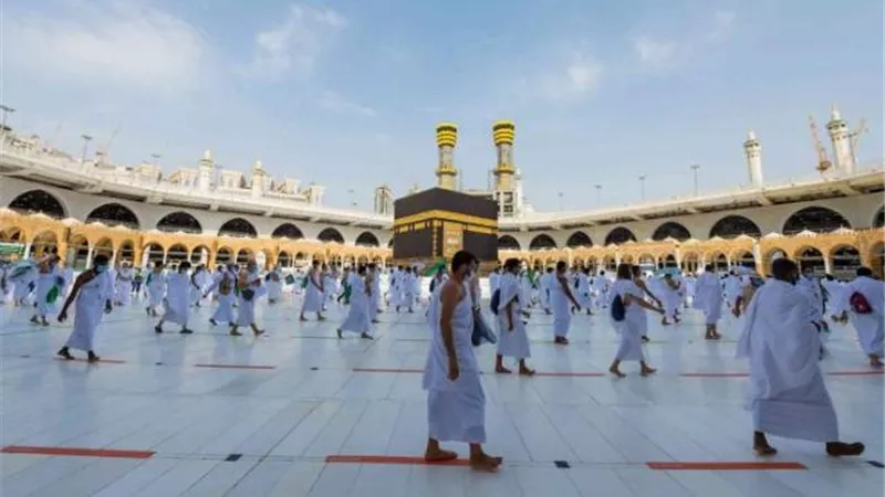 رئيس بعثة الحج المصرية: وصول 3338 حاجا من القرعة للمدينة المنورة حتى الآن.. وبدء التفويج لمكة المكرمة غدا