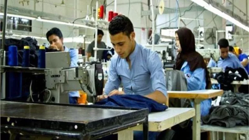 بالإنفوجراف.. عدد المشروعات الصغيرة ومتناهية الصغر خلال 8 سنوات