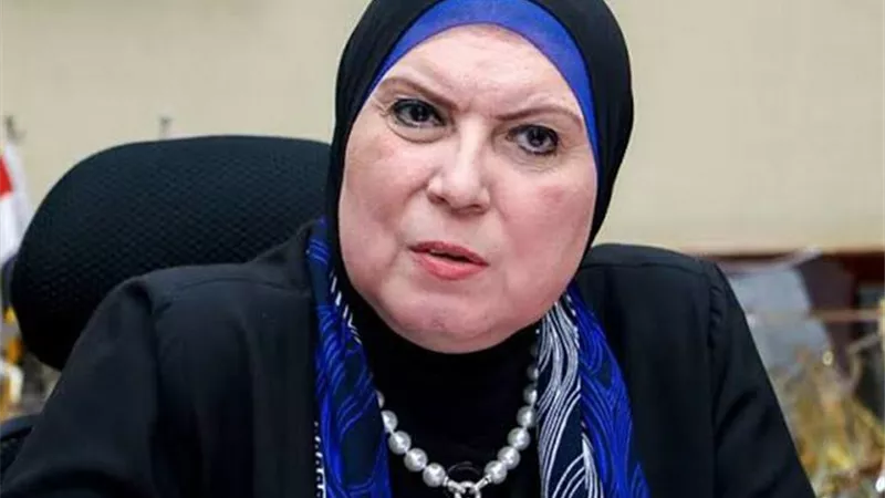 وزيرة التجارة: الرئيس السيسي وجه بتعزيز الشراكة مع القطاع الخاص