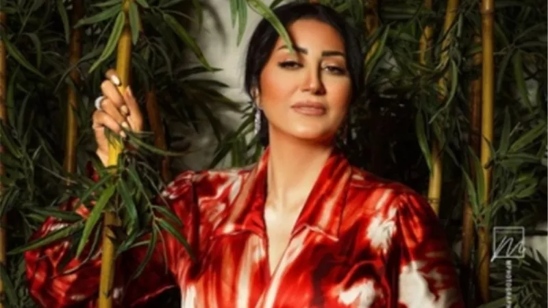 وفاء عامر بعد إستقالة هانى شاكر : استرح قليلًا وتفرغ لـ الفن الجميل