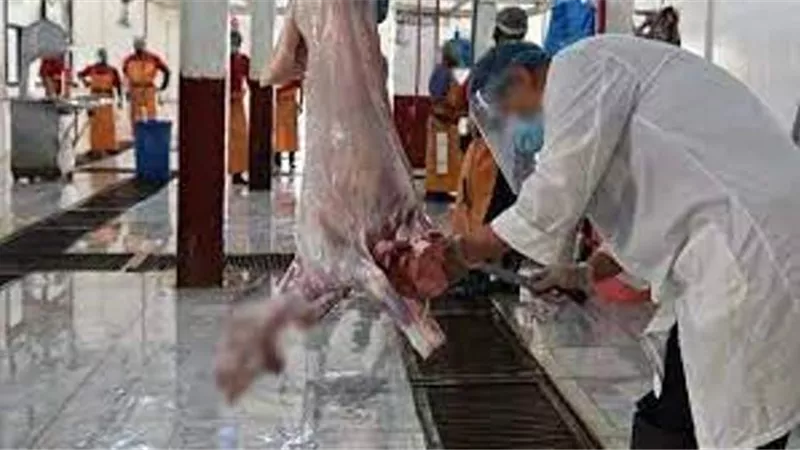 27نقطة ذبح و حملات تفتيش على شوادر اللحوم خلال عيد الأضحى بالإسماعيلية