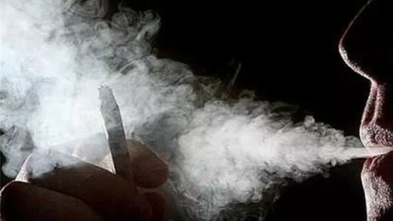منها القلب والاوعية الدموية .. ٤ أمراض خطيرة تهدد حياة المدخن .. انفوجراف