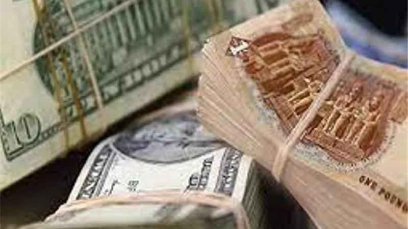 استقرار أسعار صرف الدولار مقابل الجنيه المصري وتراجع اليورو والاسترليني