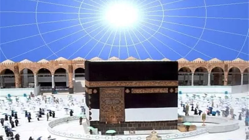 وصول 312 ألفا و982 حاجا إلى المدينة المنورة