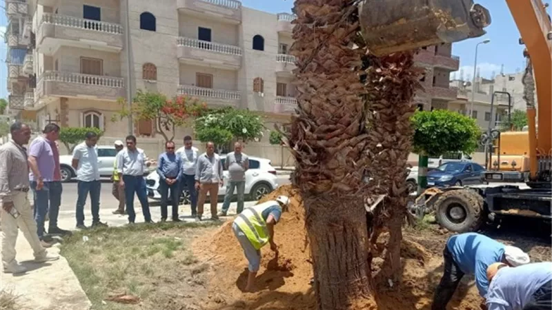 تعرف على أهم قرارت رئيس جهاز النوبارية الجديدة لتغيير شكل المدينة للأفضل.. بالصور