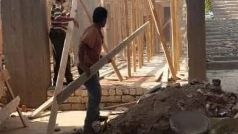 ضربات استباقية للمتعديين علَى الأرض الزراعية بالشرقية استغلالا للعطلات الرسمية