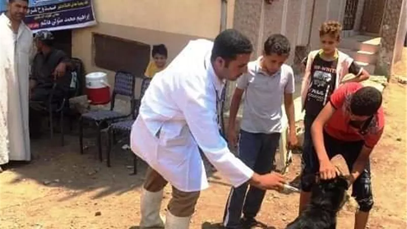 بيطري الشرقية ينظم قافلة بيطرية مجانية شاملة بقرية طحا المرج