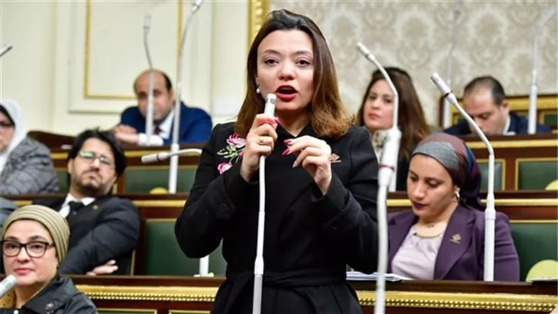 النائبة مى جبر: ثورة 30 يونيو التي خلصت الشعب المصرى من الإخوان