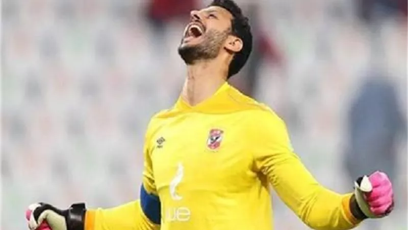 الهاني سليمان: الشناوي الحارس الأول فى مصر وكان هدفنا الفوز على الأهلي