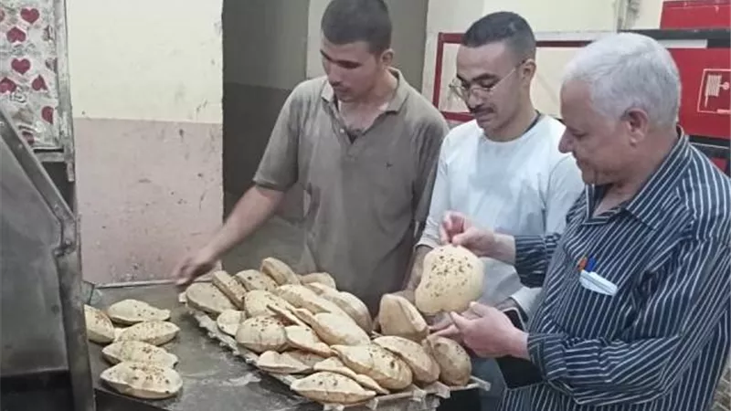 تموين جنوب سيناء يحرر 24 محضر تموينى للمخابز.. بالصور