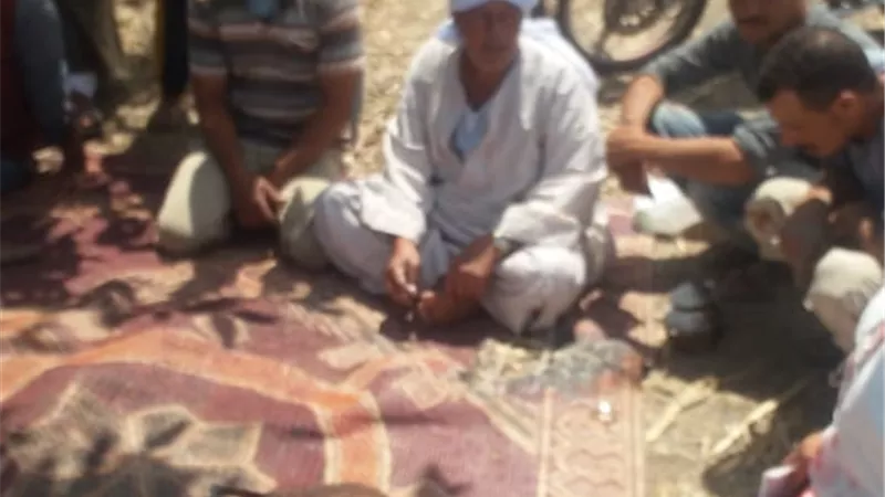 ندوة زراعية للنهوض بمحصول الارز بخورشيد