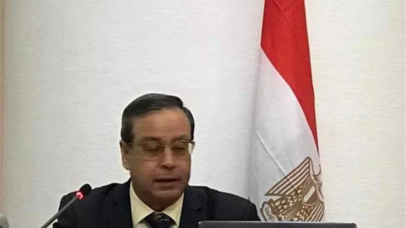 المرشح الأسبق لوزارة البيئة رئيسا للجنة الخبراء بالشبكة المصرية للبيئة والمناخ