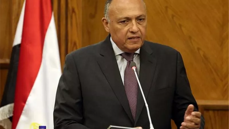 مباحثات مصرية نمساوية بالقاهرة غدا على مستوى وزيري الخارجية