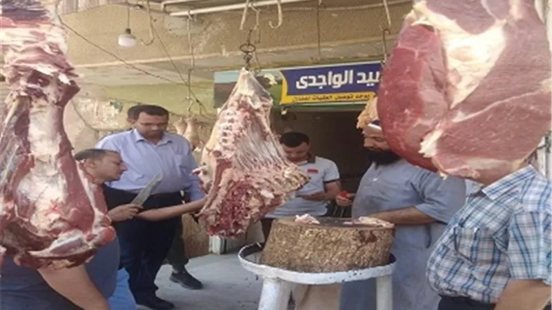 ضبط مخالفات ولحوم غير صالحة فى حملة مكبرة على محال الجزارة والمطاعم بالفيوم
