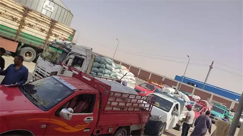 توريد نصف مليون طن قمح وزيادة بصوامع العوينات والخارجة
