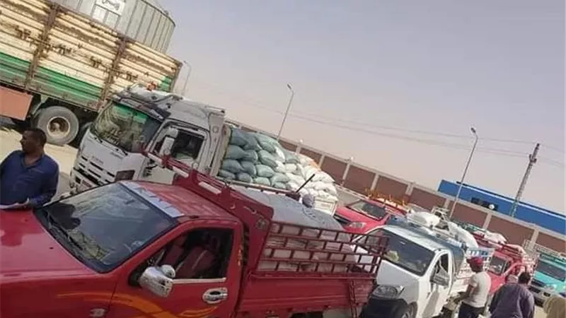 توريد نصف مليون طن قمح وزيادة بصوامع العوينات والخارجة
