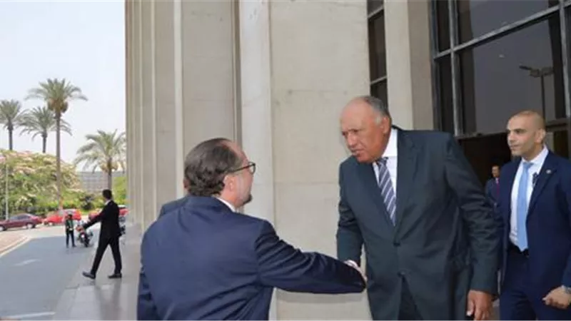 شكري يستقبل وزير خارجية النمسا