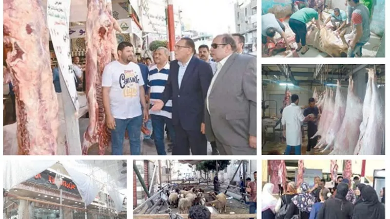 ذبح الأضاحي بالشوارع والمنازل.. كارثة