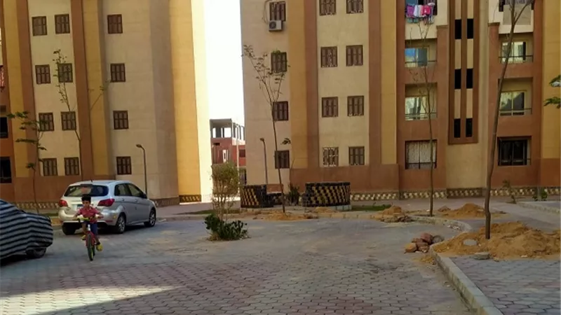 جهاز العبور الجديدة: شجر ظل و600نخلة مثمرة بالاسكان الاجتماعي فى المدينة..بالصور