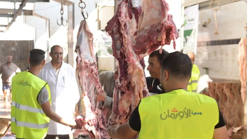 الاستعداد لذبح الأضاحى فى مجزر كفرالشيخ بسخا