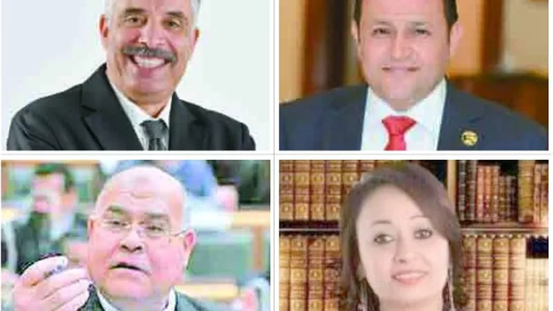 النواب والقوي السياسية 30 يونيو و3 يوليو نقطة تحول في تاريخ مصر