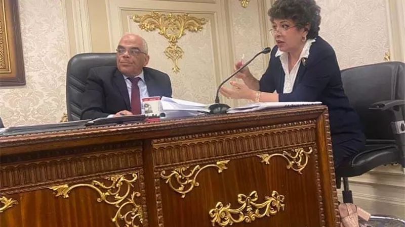 النائبة مرفت ميشيل :سداد مستحقات الغاز الطبيعى فورى