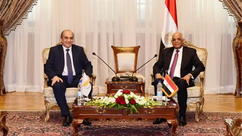 علي عبد العال يؤكد تقدير مصر لدور قبرص في الدفاع عن المواقف المصرية