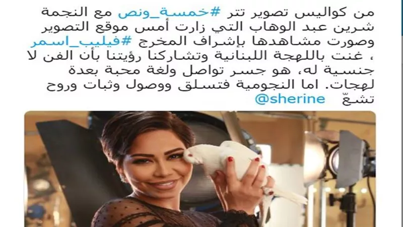 مدحت العدل يكشف عن حقيقة سفر شريهان الى السعودية