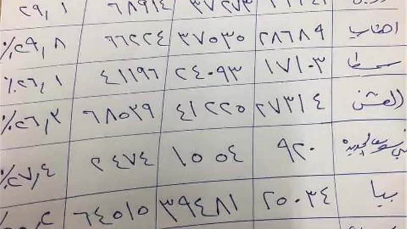 نصف مليون ناخب فى بنى سويف خلال اليومين