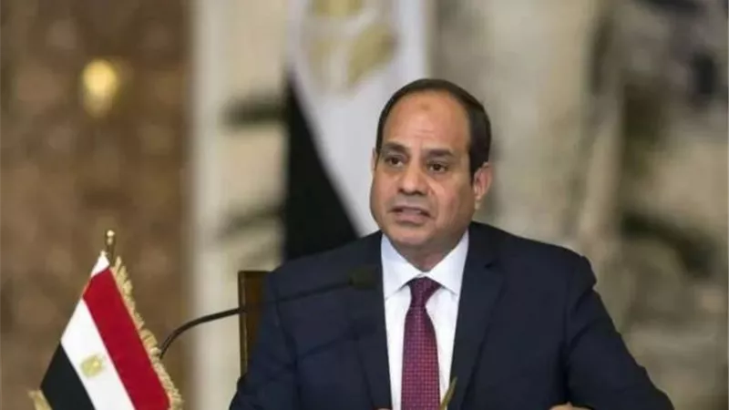 راضى: الرئيس يستقبل وزراء الشباب والرياضة العرب بقصر الاتحادية