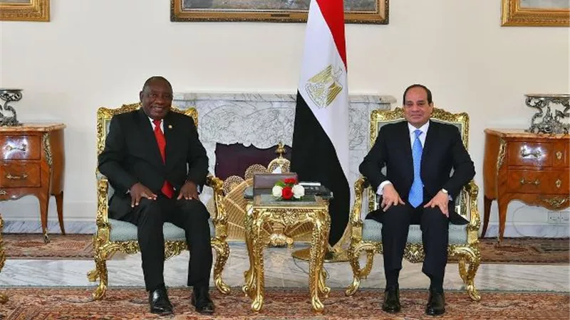 السيسى يستقبل رئيسى جنوب أفريقيا والصومال