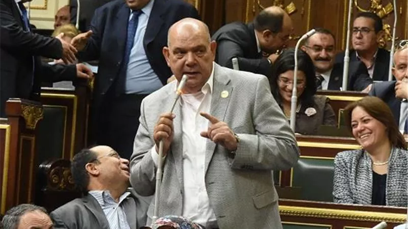 ماهر : المشاركة الإيجابية للمصريين في الاستفتاء الدستوري بمثابة كتابة تاريخ جديد للدولة