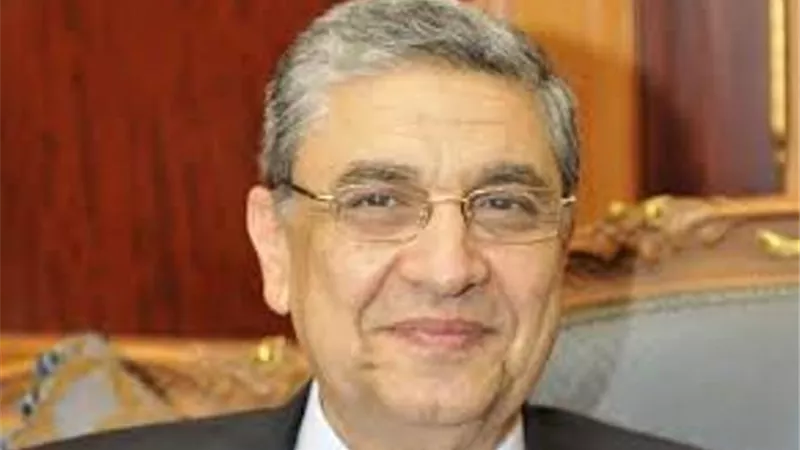 وزير الكهرباء: يوجد تعاون مع اليابان فى طاقتى الشمس والرياح