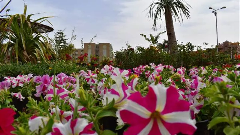 الغيطى يفتتح معرض زهور الربيع 2019 فى مدينة الشروق.. غداً بالصور