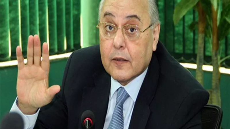 مصطفى موسى: نتائج الاستفتاء أكدت وقوف شعب خلف الدولة
