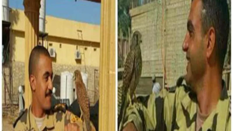 والدة الفايتر الشهيد البطل الرائد وائل كمال : حسيت إن أنا كان عايش معايا واحد من الجنة