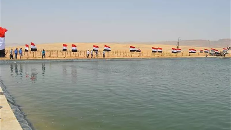 احتفالا بأعياد سيناء: رفع كفاءة خطوط الكهرباء المتضررة بسيناء