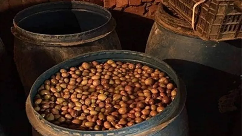 ضبط 3.5 طن مخلل فاسد داخل مصنع بير سلم بشبين القناطر