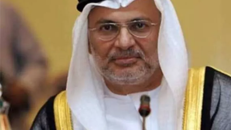 قرقاش عن لقاء السيسي والشيخ بن راشد..تبقى مصر قلبنا النابض وبعدنا الاستراتيجي المهم
