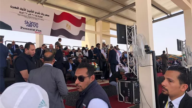 تعرف على الدول المشاركة في بطولة شرم الشيخ الدولية للهجن