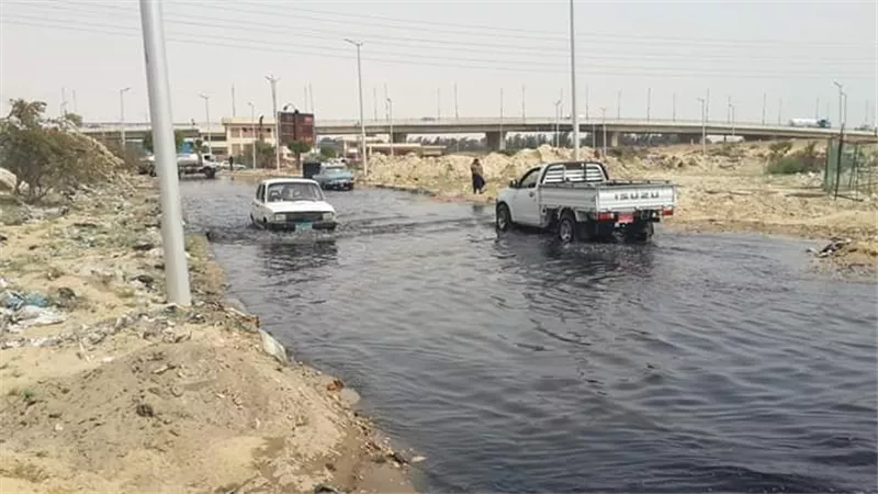 إنقاذ مدينة المستقبل في الإسماعيلية من كارثة بيئية .. صور