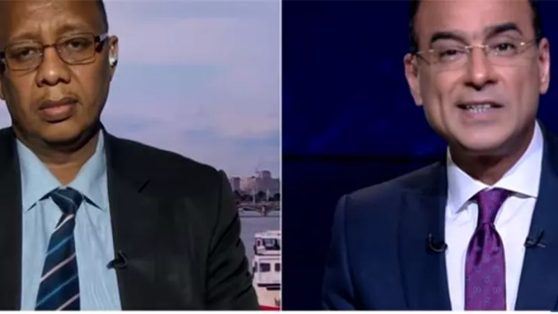 بالفيديو.. معارض سوداني: الحكومة القادمة ستتشكل من 