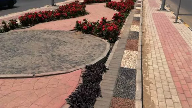 النجار: تصميمات جديدة لتطوير وتجميل الطرق بالقاهرة الجديدة.. بالصور