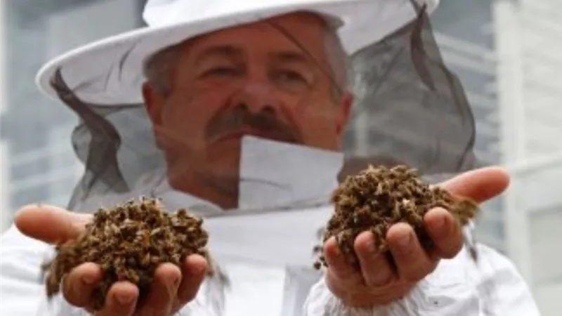 تسمم النحل خطر عالمي جديد