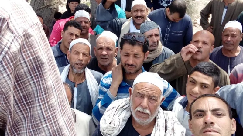 لجان وزارة الزراعة تتابع وصول تقاوي الأرز للمزراعين بالأسعار المعتمدة .. صور