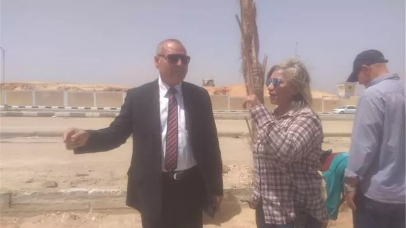 زراعة 30 نخله بالجزيرة الوسطى بشارع المشير الجديد بمدينه نصر بالصور