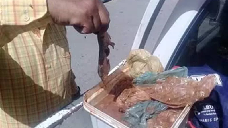 ضبط نصف طن ملوحة و فسيخ فاسد قبل ترويجها في الإسماعيلية ..صور