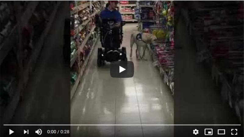 كلب يحتفل بميلاده ويختار هدية لنفسه .. فيديو