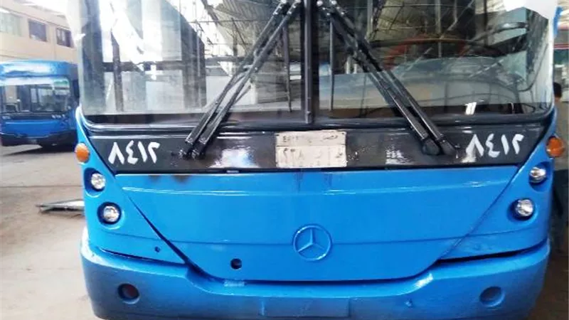 دهان 405 اتوبيس هيئة نقل عام بالقاهرة احتفالا باستقبال الامم الافريقية